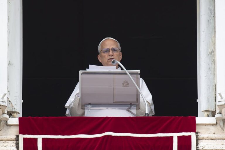Papa Leone “Ladro chi saccheggia risorse della terra combattendo guerre, ruba a tutti noi un futuro di pace”