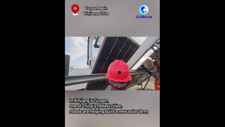 ppRN